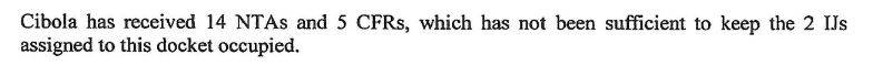 "Cibola has received 14 NTAs and 5 CFRs, which has not been sufficient to keep the 2 IJs assigned to this docket occupied."